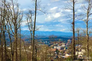 106 McCauley Dr, Asheville, NC 28803 - Photo 38