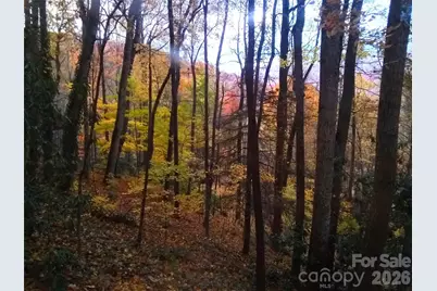 662 Locust Drive, Maggie Valley, NC 28751 - Photo 34