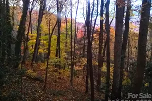 662 Locust Dr, Maggie Valley, NC 28751 - Photo 34