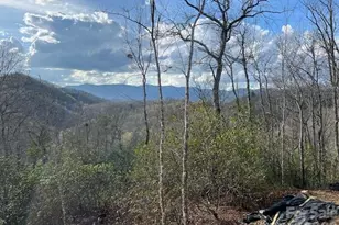 646 Fontana Ridge Rd, Bryson City, NC 28713 - Photo 10