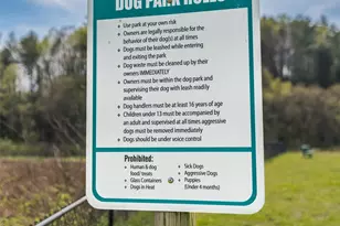 237 Leyland Cir, Hendersonville, NC 28792 - Photo 32