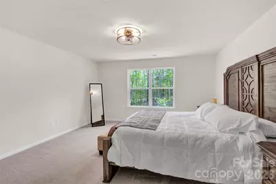 13005 Cinnamon Fern Lane, Mint Hill, NC 28227 - Photo 20