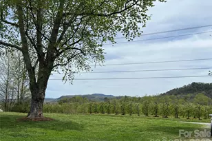 93 Laycock Rd, Hendersonville, NC 28792 - Photo 2