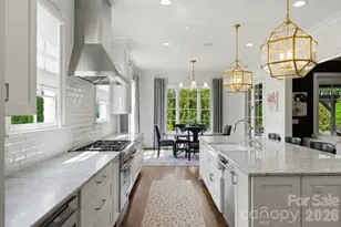 1605 Arborfield Commons Ct, Matthews, NC 28105 - Photo 16