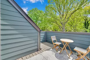 336 Twinflower Ln, Charlotte, NC 28205 - Photo 34