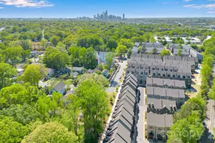 336 Twinflower Ln, Charlotte, NC 28205 - Photo 38