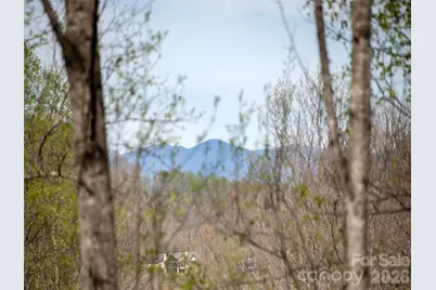 417 Bluemist Way, Arden, NC 28704 - Photo 4