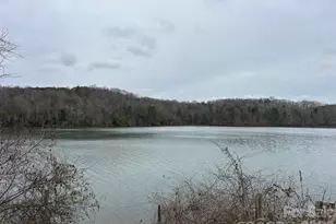 4237 Laurel Hill Rd, Claremont, NC 28610 - Photo 22