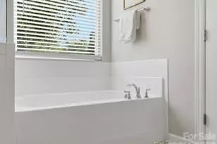 3091 Cedric Ct, Fort Mill, SC 29715 - Photo 38