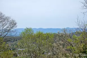 403 Cherokee Rd, Asheville, NC 28804 - Photo 2