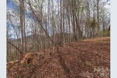 137 & 145 Cedar Mountain Road, Asheville, NC 28803 - Photo 4