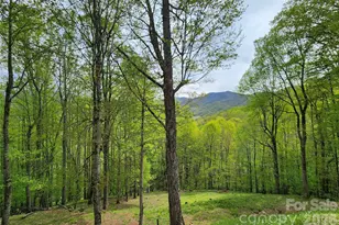 604 Croft View Dr, Bakersville, NC 28705 - Photo 6