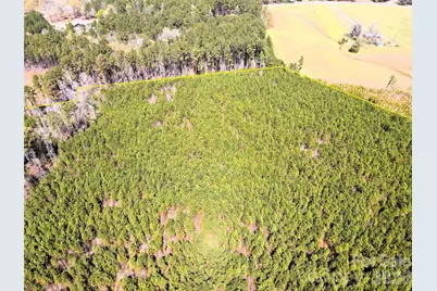 01 Collins Mountain Road, Chapel Hill, NC 27516 - Photo 10