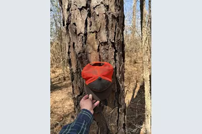 01 Collins Mountain Road, Chapel Hill, NC 27516 - Photo 24