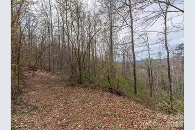 111 & 125 Cedar Mountain Road, Asheville, NC 28803 - Photo 4