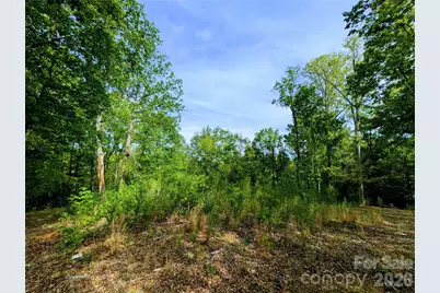 426 Mountain Ridge Court, Indian Land, SC 29707 - Photo 4