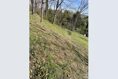 00 Locust Street, Canton, NC 28716 - Photo 4