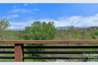 234 Erwin Hills Road, Asheville, NC 28806 - Photo 30