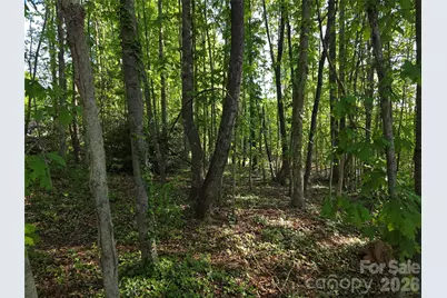 55 Cypress Road, Marion, NC 28752 - Photo 36