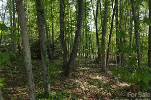 55 Cypress Rd, Marion, NC 28752 - Photo 36