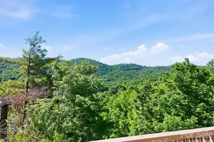 68 Stony Ridge, Asheville, NC 28804 - Photo 4