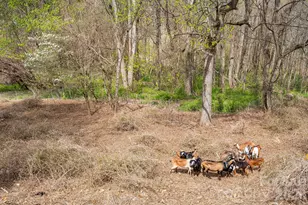 92 Rose Hill Rd, Asheville, NC 28803 - Photo 44