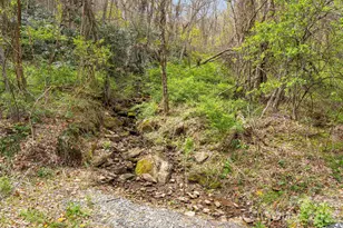 92 Rose Hill Rd, Asheville, NC 28803 - Photo 42