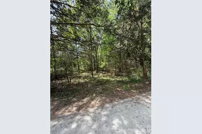 00 William Stevenson Road, Richburg, SC 29729 - Photo 2