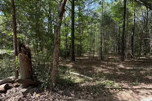 00 William Stevenson Rd, Richburg, SC 29729 - Photo 1