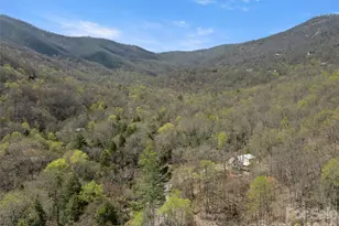 80 Hemlock Cir, Black Mountain, NC 28711 - Photo 46