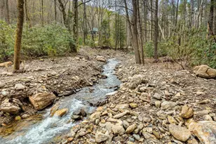 80 Hemlock Cir, Black Mountain, NC 28711 - Photo 44