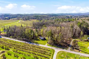 984 Pace Rd, Hendersonville, NC 28792 - Photo 12