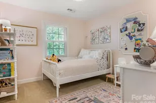 9201 Hanworth Trace Dr, Charlotte, NC 28277 - Photo 14