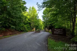 00 Lyle Mountain Trail, Franklin, NC 28734 - Photo 1