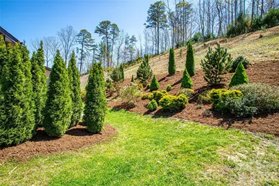 153 Water Leaf Drive, Weaverville, NC 28787 - Photo 40