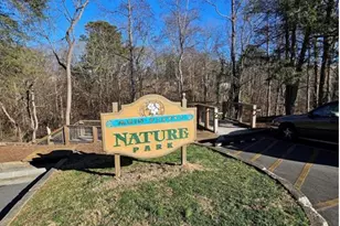 153 Water Leaf Dr, Weaverville, NC 28787 - Photo 48
