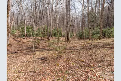 00 Norton Fork Road, Spring Creek, NC 28743 - Photo 10