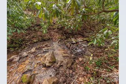 00 Norton Fork Road, Spring Creek, NC 28743 - Photo 6