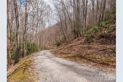 00 Norton Fork Road, Spring Creek, NC 28743 - Photo 12