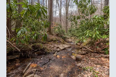 00 Norton Fork Road, Spring Creek, NC 28743 - Photo 8