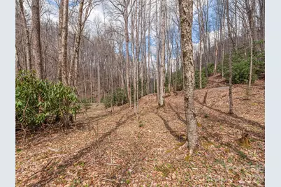 00 Norton Fork Road, Spring Creek, NC 28743 - Photo 4