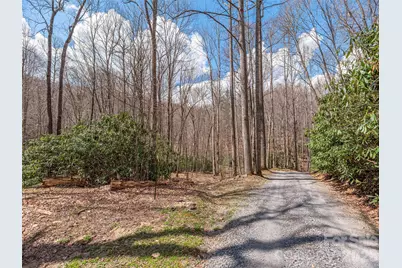 00 Norton Fork Road, Spring Creek, NC 28743 - Photo 2