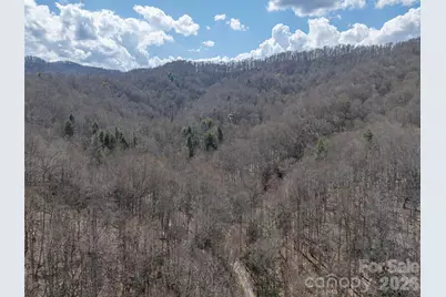 00 Norton Fork Road, Spring Creek, NC 28743 - Photo 18
