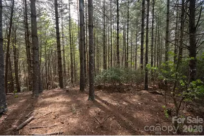 103 Big Tree Way, Nebo, NC 28761 - Photo 6