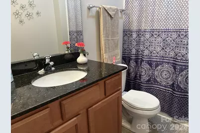 272 Abigail Court, Rock Hill, SC 29730 - Photo 12