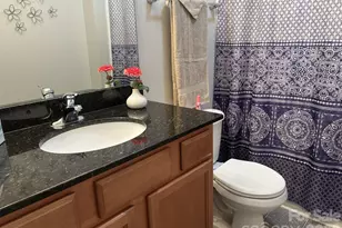 272 Abigail Ct, Rock Hill, SC 29730 - Photo 12