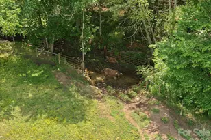 2305 Monteith Ln, Connelly Springs, NC 28612 - Photo 44