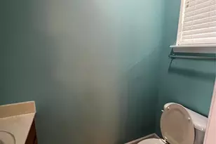 16119 Raptor Ct, Charlotte, NC 28278 - Photo 20