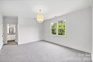 313 Wendover Hill Ct, Charlotte, NC 28211 - Photo 26