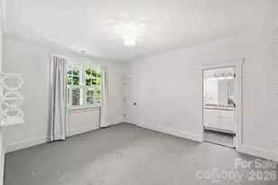313 Wendover Hill Ct, Charlotte, NC 28211 - Photo 28